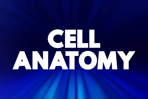 Cell anatomy - consists of three parts: the cell membrane, the nucleus, and, between the two, the cytoplasm, text concept background