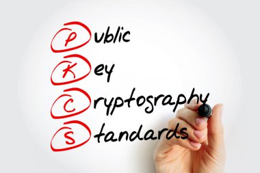 PKCS - İşaretli Genel Anahtar Şifreleme Standartları kısaltması, teknoloji kavramı geçmişi