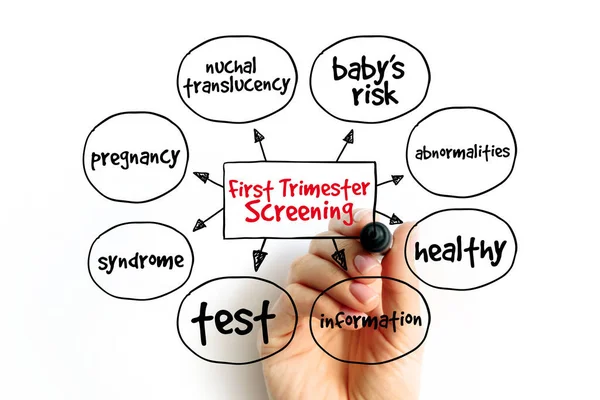 First Trimester Screening mind map, health concept for presentations and reports
