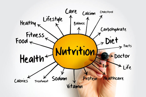 Карта ума питания, концепция здоровья для презентаций и докладов