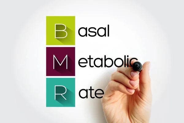 Bmr Basal Metabolic Rate Numero Calorie Che Bruci Mentre Tuo — Foto Stock