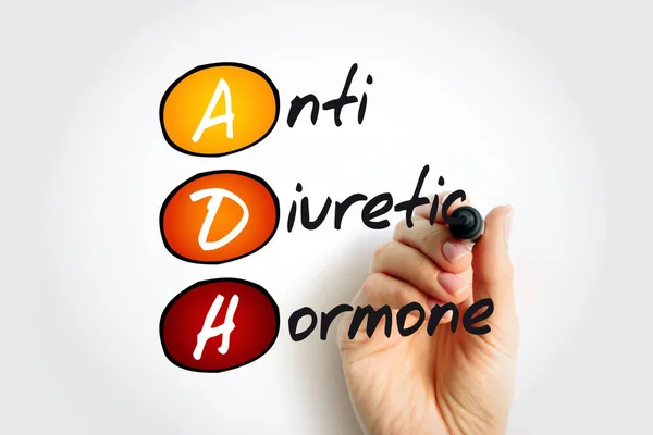 Hormônio Antidiurético Adh Nonapeptide Sintetizado Hipotálamo Acrônimo Texto — Fotografia de Stock
