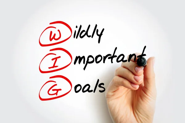 WIG Wildly Important Goals - highly important goals that must be achieved or no other goal matters, acronym text with marker
