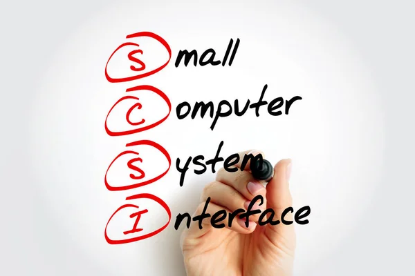 Scsi Small Computer System Interface Conjunto Estándares Para Conectar Transferir —  Fotos de Stock