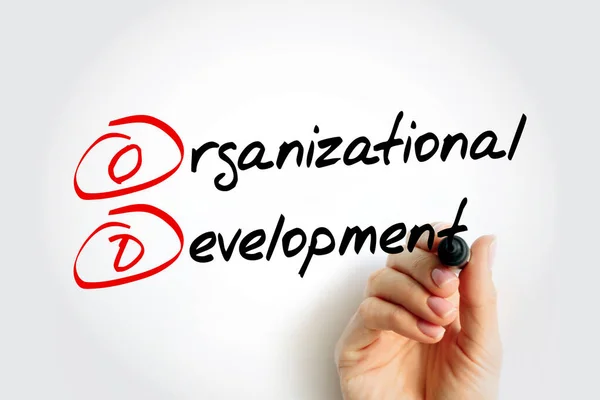 Organizational Development Study Implementation Practices Systems Techniques Affect Organizational Change — Stock Photo, Image