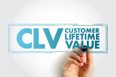 CLV - Müşteri Ömür Boyu Değeri kısaltması, iş konsepti geçmişi
