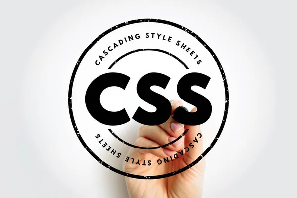 Css Cascading Style Sheets Linguaggio Utilizzato Descrivere Presentazione Documento Scritto — Foto Stock