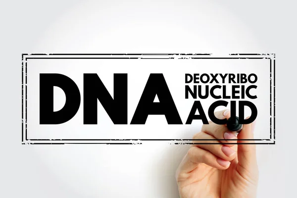 DNA Deoxyribonucleic Acid - hereditary material in humans and almost all other organisms, acronym text stamp