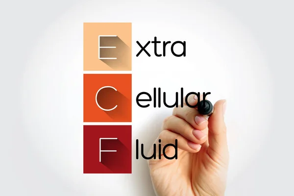 Ecf Acrónimo Fluido Extracelular Fundo Conceito Médico — Fotografia de Stock