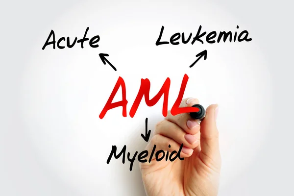 Aml Acute Myeloid Leukemia Acronym Medical Concept Background — 图库照片