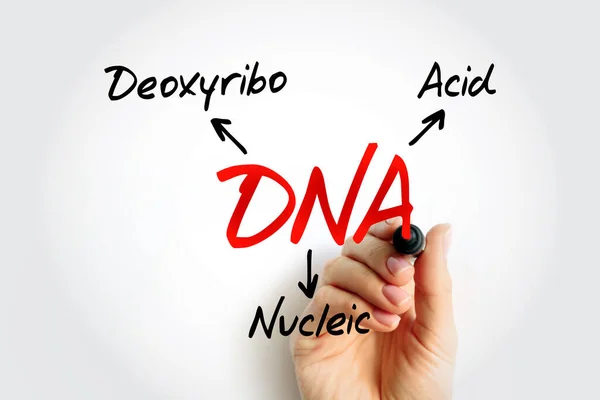 Dna Ácido Desoxirribonucleico Acrônimo Fundo Conceito Médico — Fotografia de Stock