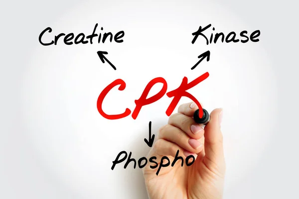 Cpk Creatina Fosfoquinase Enzima Expressa Por Vários Tecidos Tipos Células — Fotografia de Stock