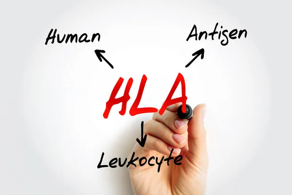 HLA Human Leukocyte Antigen - complex of genes on chromosome 6 in humans which encode cell-surface proteins, acronym text concept background