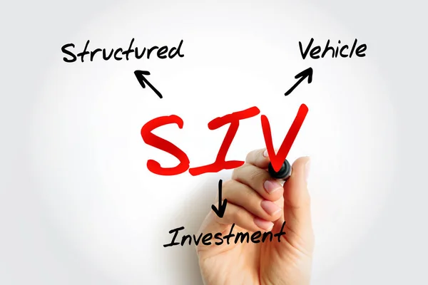 Siv Structured Investment Vehicle Istituzione Finanziaria Non Bancaria Istituita Guadagnare — Foto Stock