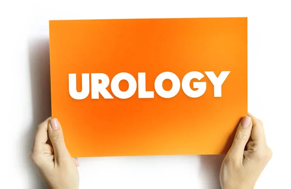 Urologia Parte Dos Cuidados Saúde Que Lida Com Doenças Trato — Fotografia de Stock