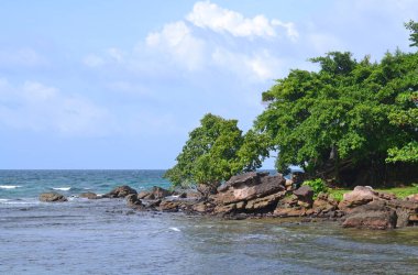 Deniz manzarası, ön planda ağaçlı kayalık bir sahil.