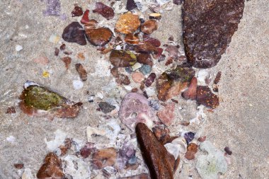 Kumsalda deniz kabuğu kalıntıları olan sarı kum, büyük plan, üst manzara.