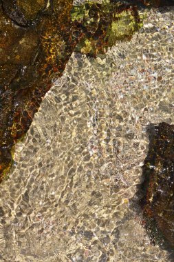 Kum ve taşlar güneşli bir günde bir su katmanının altında güzel röflelerle