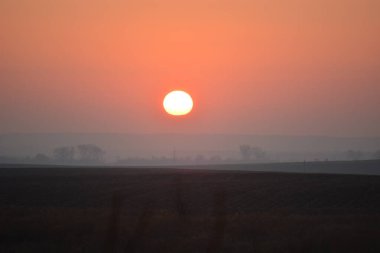 Siste asılı güneş topu kırsaldaki bir çimlerin üzerinde