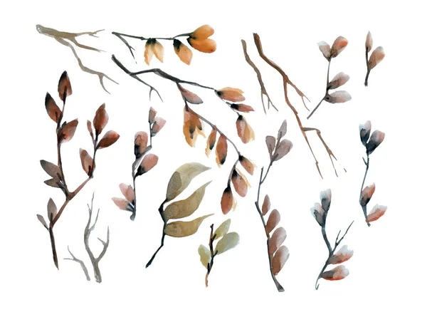 가지와 잎들로 이루어진 손으로 요소들 — 스톡 사진
