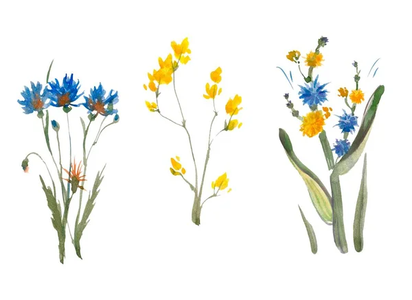 Zestaw Kwiatów Liści Tradycyjny Rysunek Malarstwo Kolorze Wodnym Białym Tle — Zdjęcie stockowe