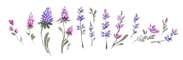 Akvarell Kézzel Rajzolt Ibolyaszín Virágok — Stock Fotó