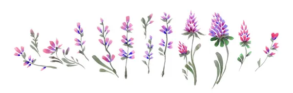 Akwarela Ręcznie Rysowane Fioletowe Kwiaty — Zdjęcie stockowe