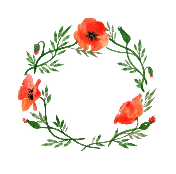 Floral Frame Red Poppies Green Branches Flat Lay Top View — Stock Photo, Image