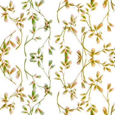 Altın dallardan yapılmış desen, beyaz arka planda okaliptüs yaprakları. düz düzen, üst görünüm