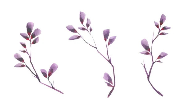 Μπουκέτο Από Βιολετί Λιλά Μωβ Λουλούδια Τοποθετημένα Λευκό Φόντο Ελάχιστη — Φωτογραφία Αρχείου