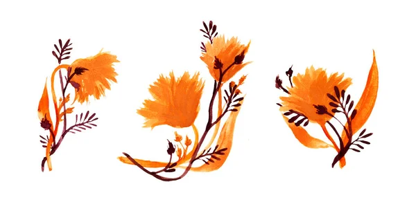 Izolált Virág Brach Illusztráció Amberszínes Fehér Alapon — Stock Fotó