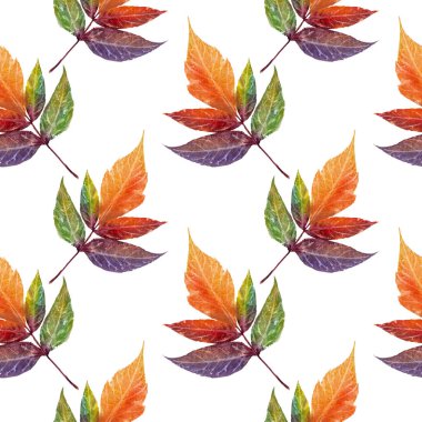 Sonbahar yapraklarının soyut arkaplanı. Sonbahar arkaplanı. Desen