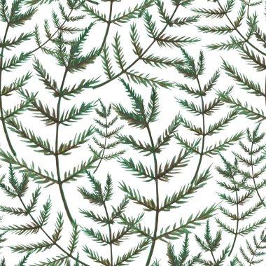 Noel ağacı dallarının arkaplanı.