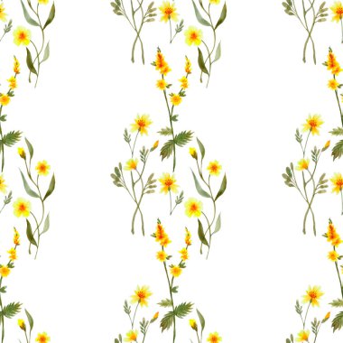 Beyaz arka planda sarı Calendula çiçeklerinin renkli parlak deseni. Düzlük, üst görünüm, doğal arkaplan