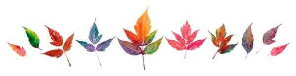 Sada Barevných Podzimních Listů Akvarelové Ilustrace Izolované Bílém Pozadí — Stock fotografie