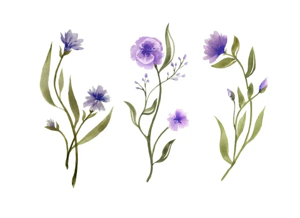 Acuarela Hermosas Flores Violetas Primavera — Foto de Stock
