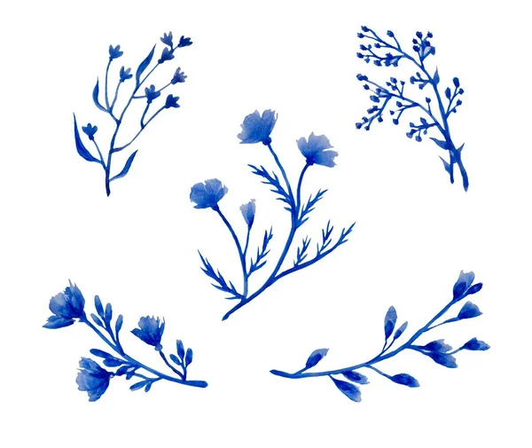 Flor Azul Sobre Fondo Blanco — Foto de Stock