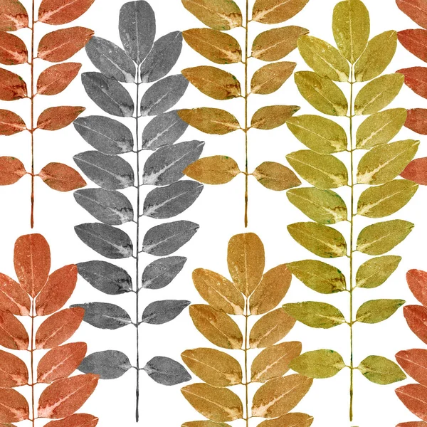 Podzimní Vzor Pestrobarevnými Oválnými Listy Izolovanými Bílém — Stock fotografie