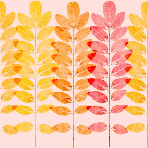 Incroyable Fond Coloré Feuilles Érable Automne Fond Feuilles Érable Multicolore — Photo