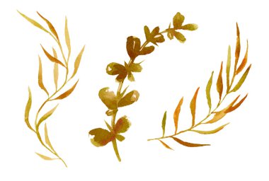 Suluboya elle çizilmiş sonbahar portakalı ve yaprakları beyaz arka planda izole edilmiş kırmızı bir dal. Kart, etiket, duvar kağıdı, tekstil veya ambalaj için sanat yaratıcılığı nesnesi