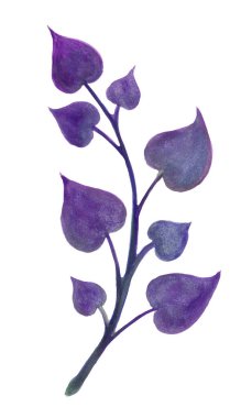 Çok Peri Rengi 2022 desenli eğreltiotu yapraklı beyaz arka plan manzaralı. Çiçek doğası. Ekoloji, organik arka plan.