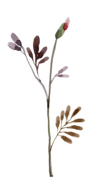 Suluboya ev dekoru, modası geçmiş otlar, şehir ormanları, beyaz arka planda izole edilmiş moda dekorlar. Eski