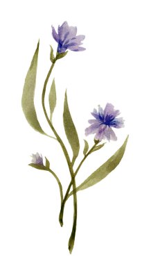 İlkbaharda kır çiçekleri