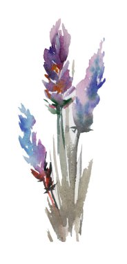 Bir buket çiçekli lavanta renkli zarif kart. Metin sunumun için lavanta çelengi. Sabun paketi etiketi. Lavanta çiçekli etiket.