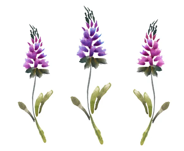 Kreative Blumencollage Inspiriert Von Very Peri Farbe Des Jahres 2022 — Stockfoto
