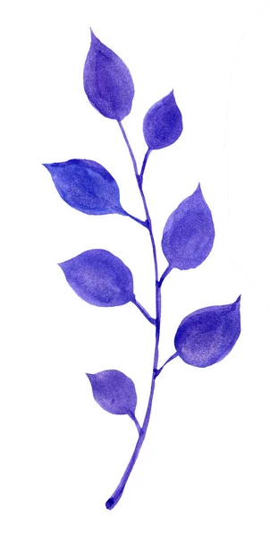 Beyaz Arka Planda Yaprakları Olan Mavi Renk Dalının Yapımı Suluboya — Stok fotoğraf