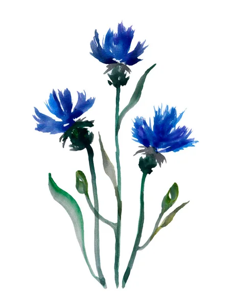 被白色背景隔离的蓝色玉米花 — 图库照片