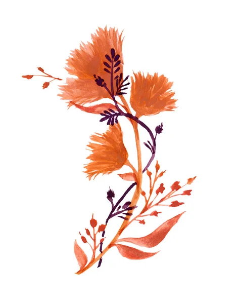 Illustration Aquarelle Avec Branche Réaliste Strelitzia Oiseau Paradis Fleur Peinte — Photo