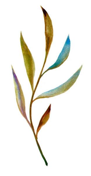 Watercolor branch with autumn leaves