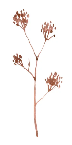 Pionowa Ilustracja Suszonego Kwiatu Środku Natury — Zdjęcie stockowe